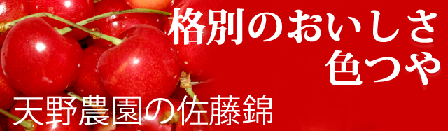 東根産さくらんぼ