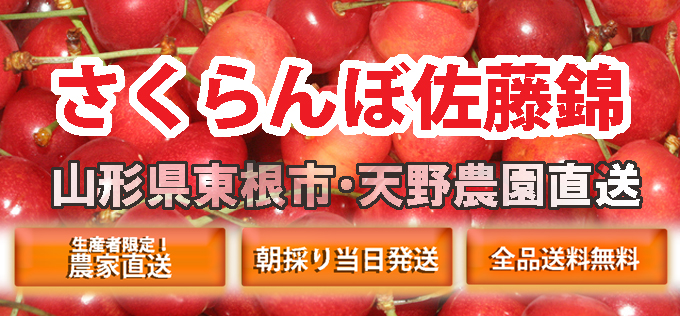 さくらんぼ 販売