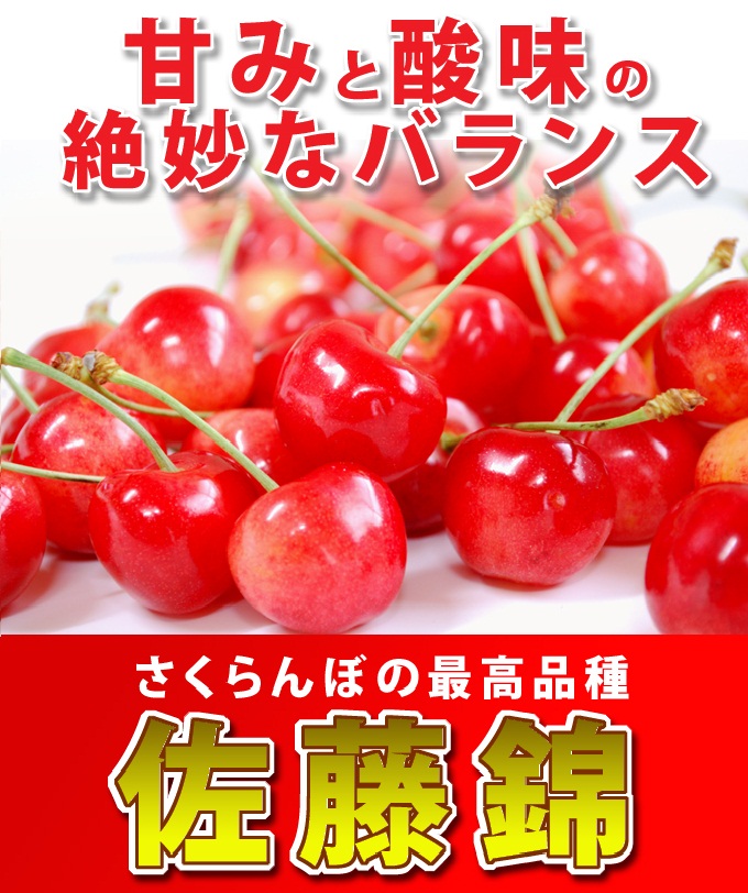 佐藤錦