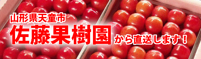 さくらんぼ佐藤果樹園