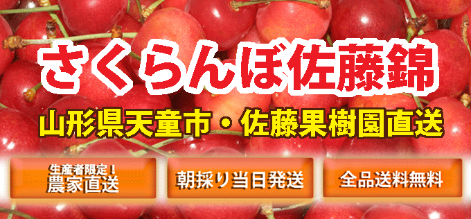 佐藤果樹園直送さくらんぼ佐藤錦