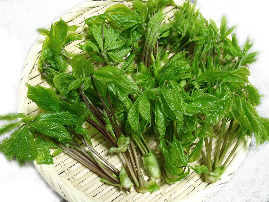 天然あいこ