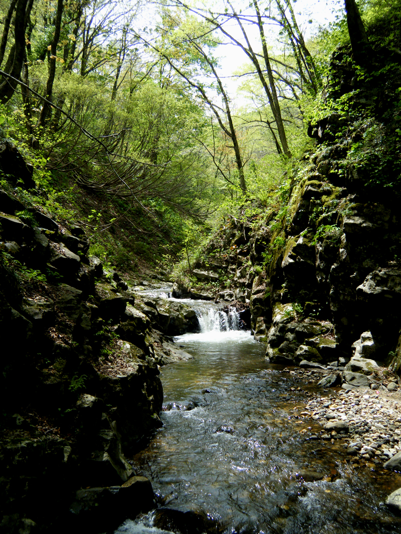 月山の沢