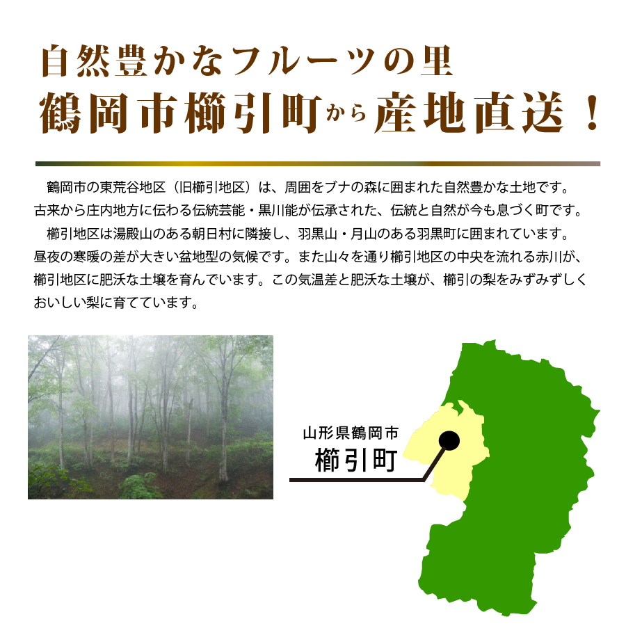 櫛引町から直送