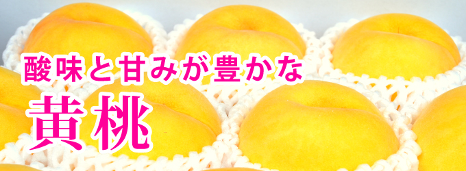 黄桃