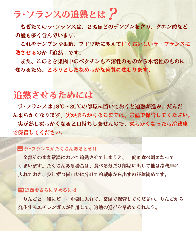 ラフランス 販売