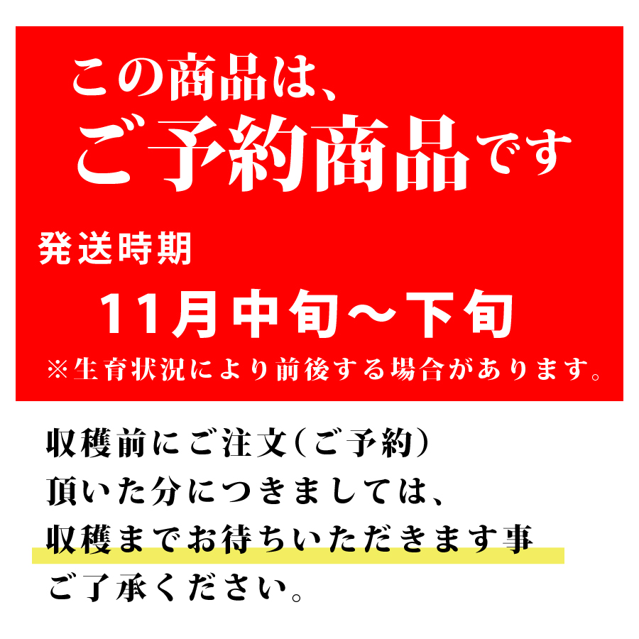 ご予約商品です