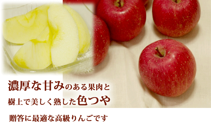 りんご 朝日町