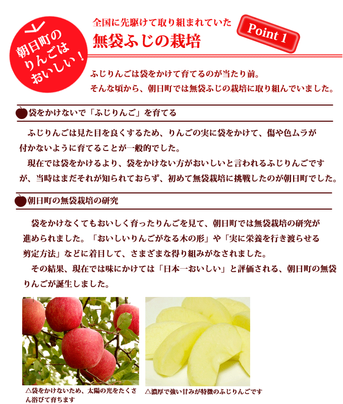 りんご 通販