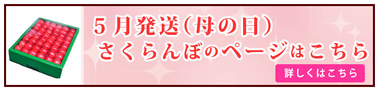 5月発送(母の日)のさくらんぼはこちら