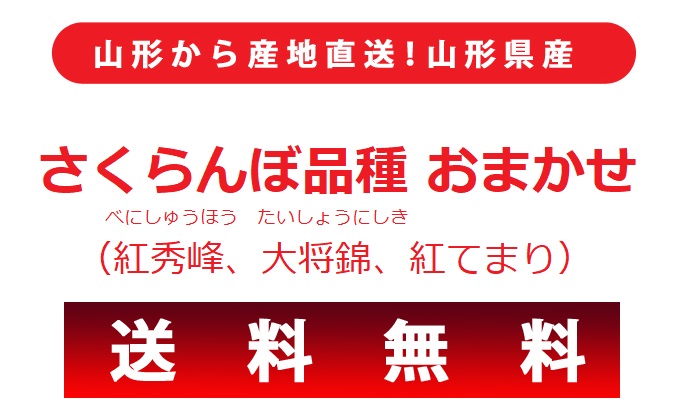 さくらんぼ 紅秀峰、大将錦、紅てまり