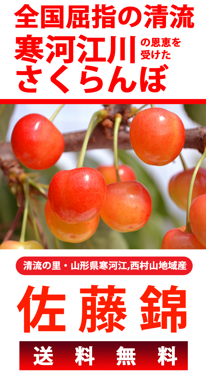 さがえさくらんぼトップ