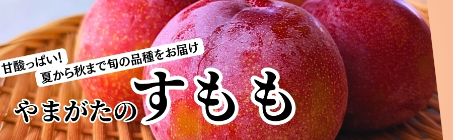 山形のすもも 秋姫