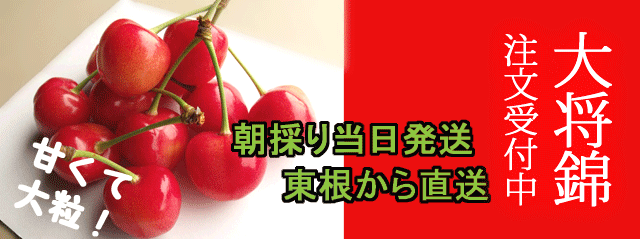 大将錦