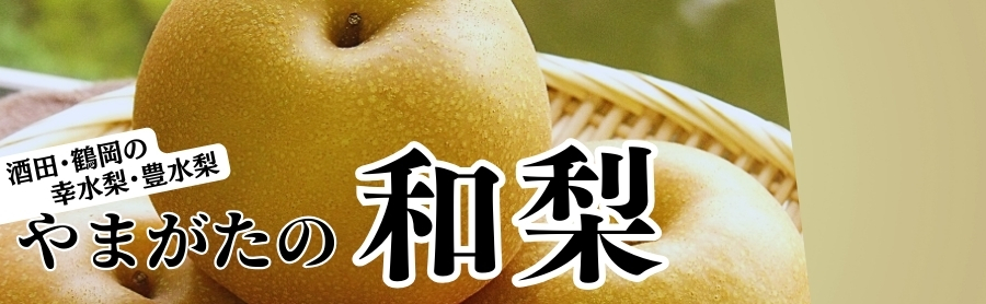 山形の幸水梨 豊水無